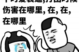 舞钢融资清欠服务